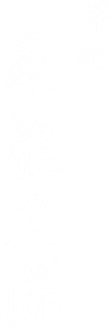 笄町 豪龍久保